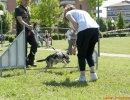 DOG_RUNNING_025